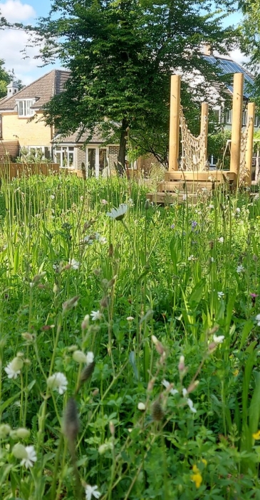 meadow-turf-hertfordshire